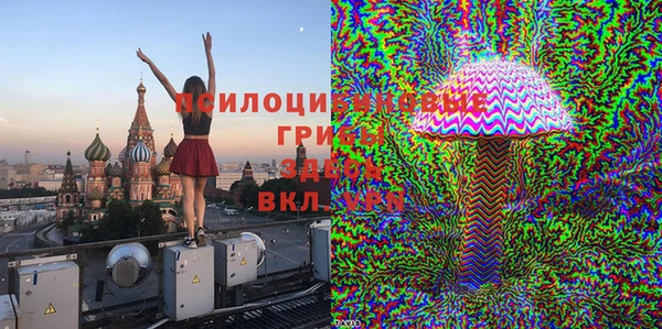 ешки Алзамай