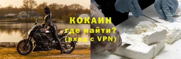 гидра Михайловка