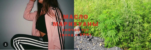 сатива Аркадак