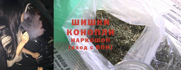 гидра Арсеньев