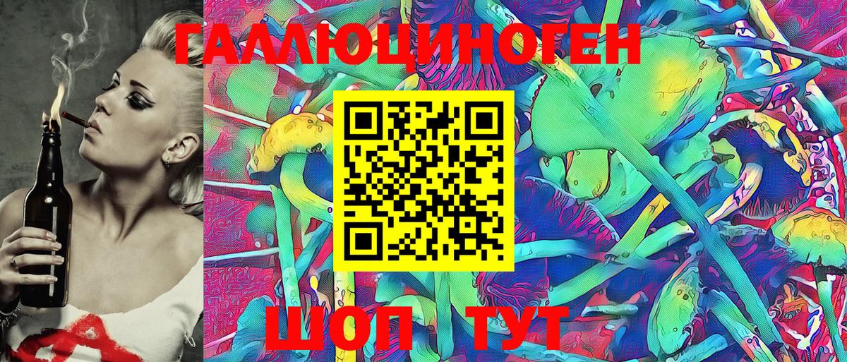 Галлюциногенные грибы Psilocybe  Вход с VPN  Псилоцибиновые грибы Psilocybine cubensis  Ярославль 